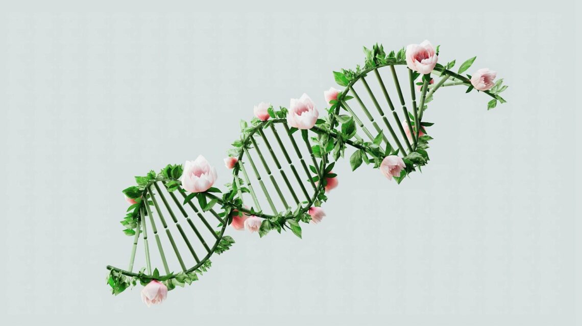 Artificial Plants for Homes That Feel More Alive