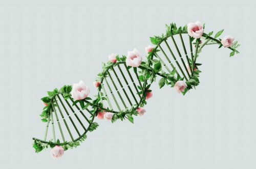 Artificial Plants for Homes That Feel More Alive